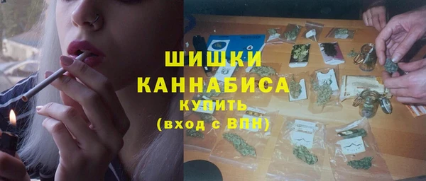 бошки Богородицк