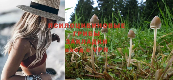 кокаин колумбия Богородск