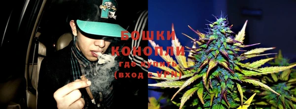 бошки Богородицк