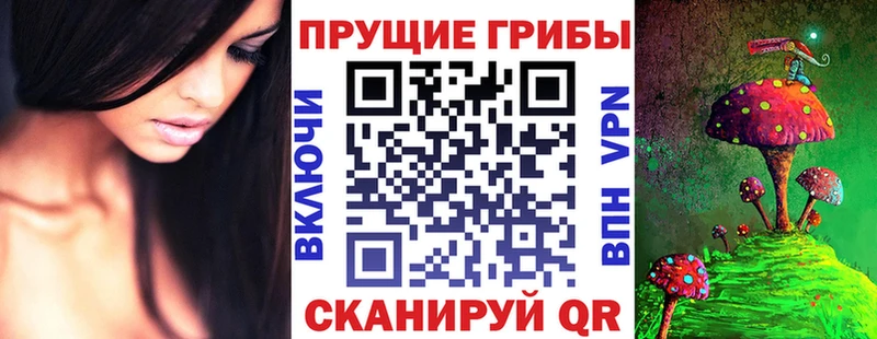 Купить где  Южно-Сахалинск  Псилоцибиновые грибы Cubensis 